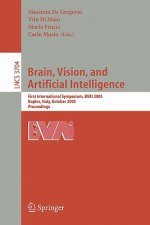 Brain, Vision, and Artificial Intelligence