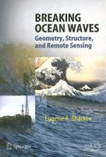 Breaking Ocean Waves