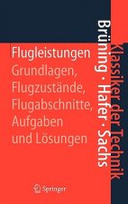 Flugleistungen
