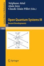 Open Quantum Systems III. Vol.3