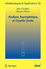 Analyse asymptotique et couche limite