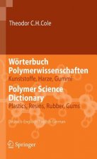 Worterbuch Polymerwissenschaften/ Polymer Science Dictionary