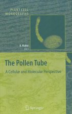 Pollen Tube