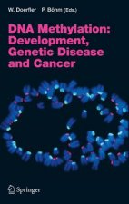 DNA Methylation: Development, Genetic Disease and Cancer