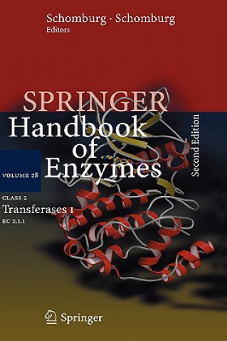 Class 2 Transferases I