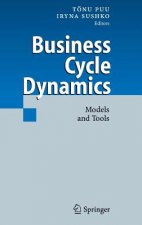 Business Cycle Dynamics