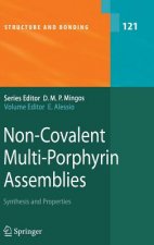 Non-Covalent Multi-Porphyrin Assemblies