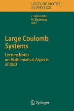 Large Coulomb Systems