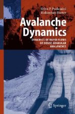 Avalanche Dynamics