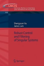Robust Control and Filtering of Singular Systems