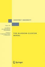 Random-Cluster Model