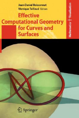 Effective Computational Geometry for Curves and Surfaces