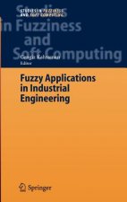 Fuzzy Applications in Industrial Engineering