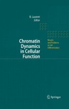 Chromatin Dynamics in Cellular Function