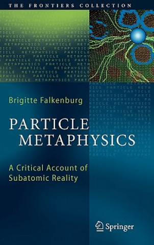 Particle Metaphysics
