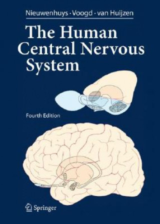 Human Central Nervous System