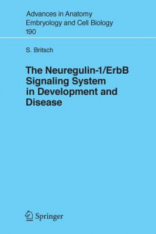 Neuregulin-I/ErbB Signaling System in Development and Disease