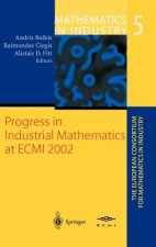 Progress in Industrial Mathematics at ECMI 2002