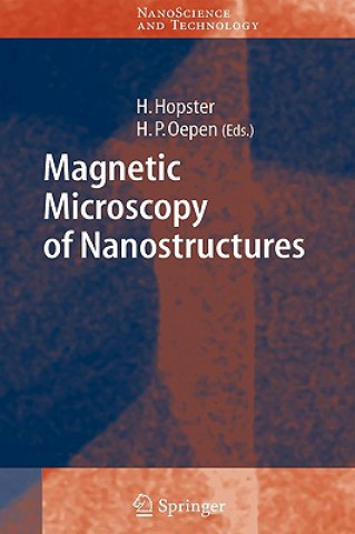 Magnetic Microscopy of Nanostructures