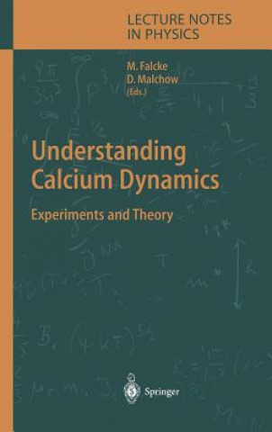 Understanding Calcium Dynamics