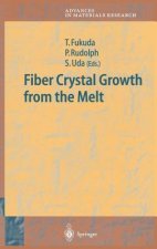 Fiber Crystal Growth from the Melt