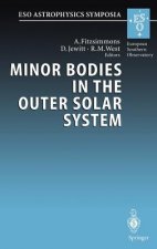 Minor Bodies in the Outer Solar System