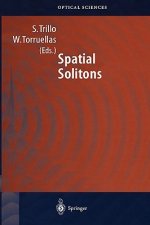 Spatial Solitons