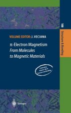 -Electron Magnetism