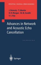 Advances in Network and Acoustic Echo Cancellation