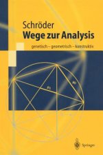 Wege zur Analysis