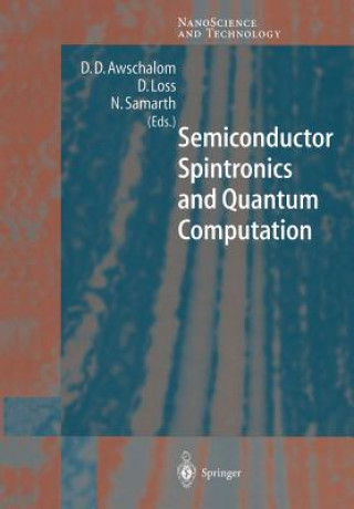 Semiconductor Spintronics and Quantum Computation