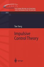 Impulsive Control Theory