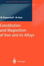 Constitution and Magnetism of Iron and its Alloys