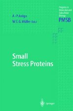 Small Stress Proteins