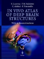 In Vivo Atlas of Deep Brain Structures