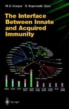 Interface Between Innate and Acquired Immunity