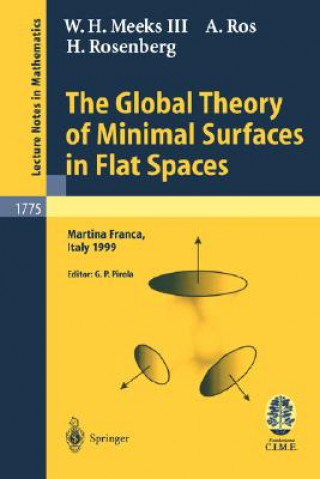 Global Theory of Minimal Surfaces in Flat Spaces