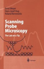 Scaning Probe Microscopy