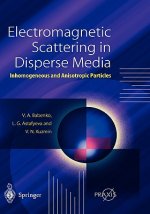 Electromagnetic Scattering in Disperse Media
