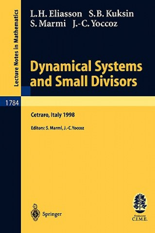 Dynamical Systems and Small Divisors