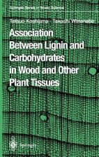 Association Between Lignin and Carbohydrates in Wood and Other Plant Tissues
