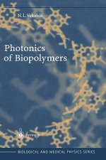 Photonics of Biopolymers