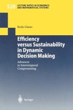 Efficiency versus Sustainability in Dynamic Decision Making