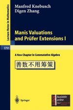 Manis Valuations and Prüfer Extensions I. Vol.1