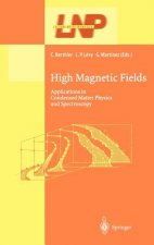 High Magnetic Fields