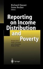 Reporting on Income Distribution and Poverty
