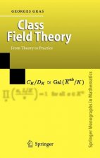 Class Field Theory