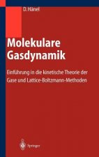 Molekulare Gasdynamik