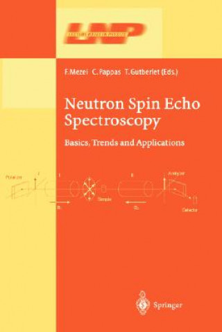 Neutron Spin Echo Spectroscopy