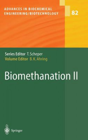 Biomethanation II